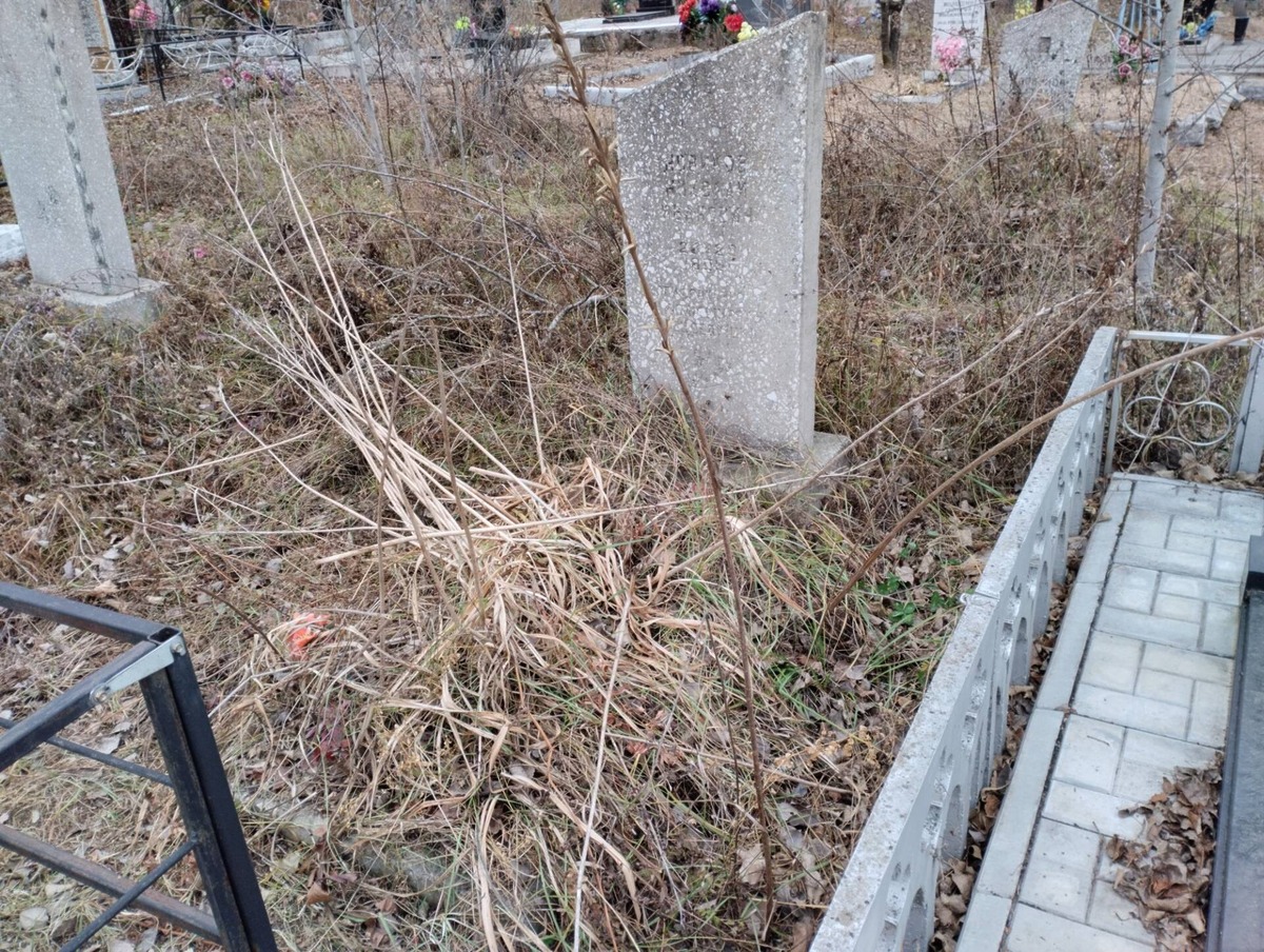 00d96bd2-23db-4f05-b7fb-998104e99601 Новиков Николай Иванович