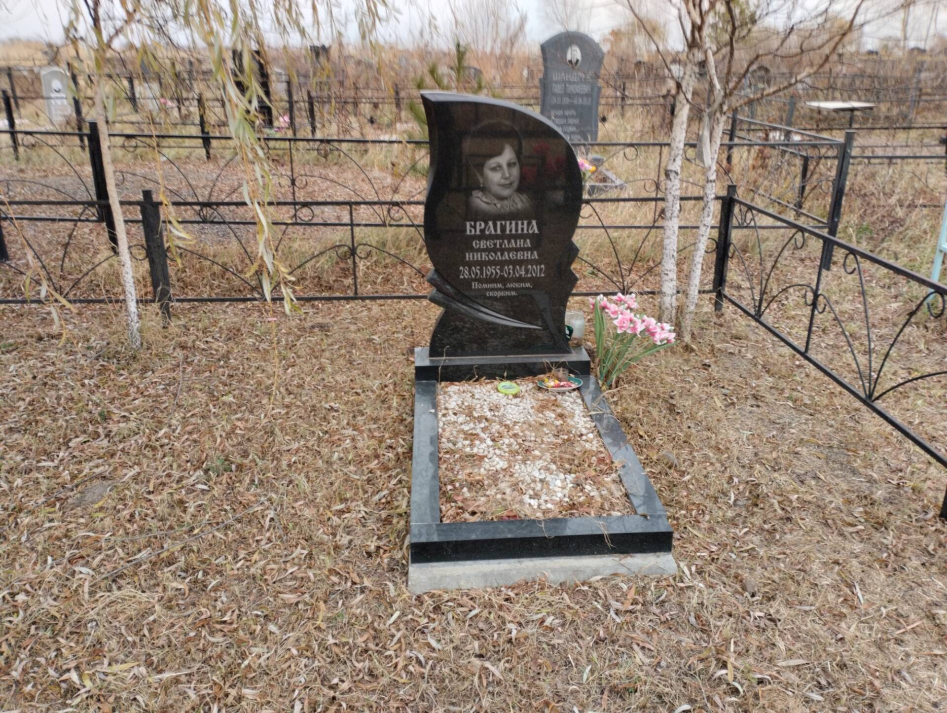 Брагина Светлана Николаевна