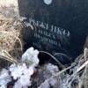 Рыженко Ольга Ивановна