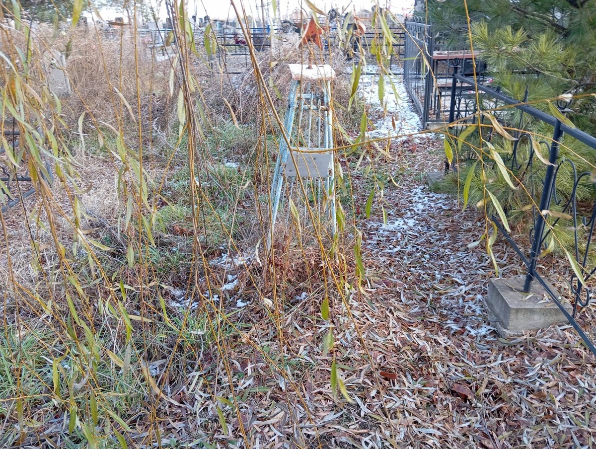 Шведский Николай Трофимович