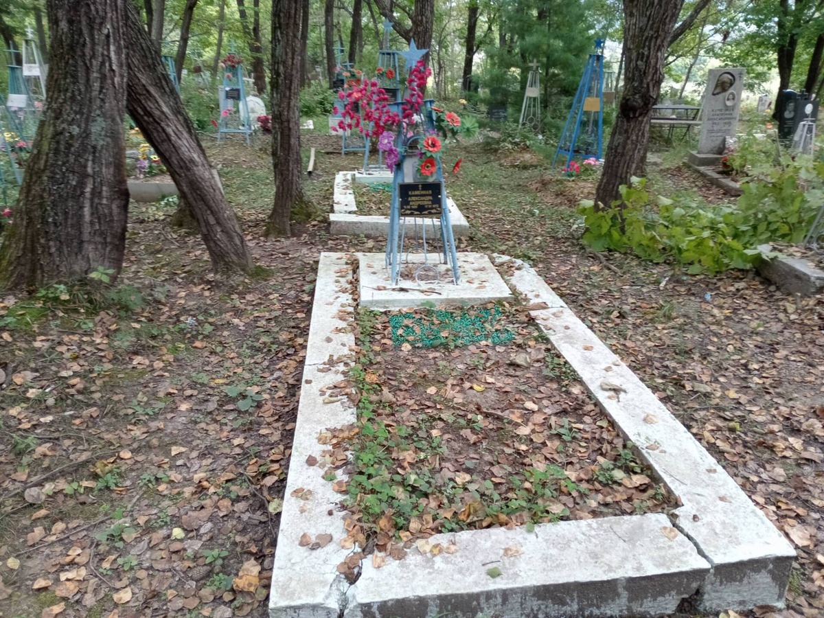 Каменная Александра Андреевна