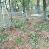 Понуровский Иван Прокопович