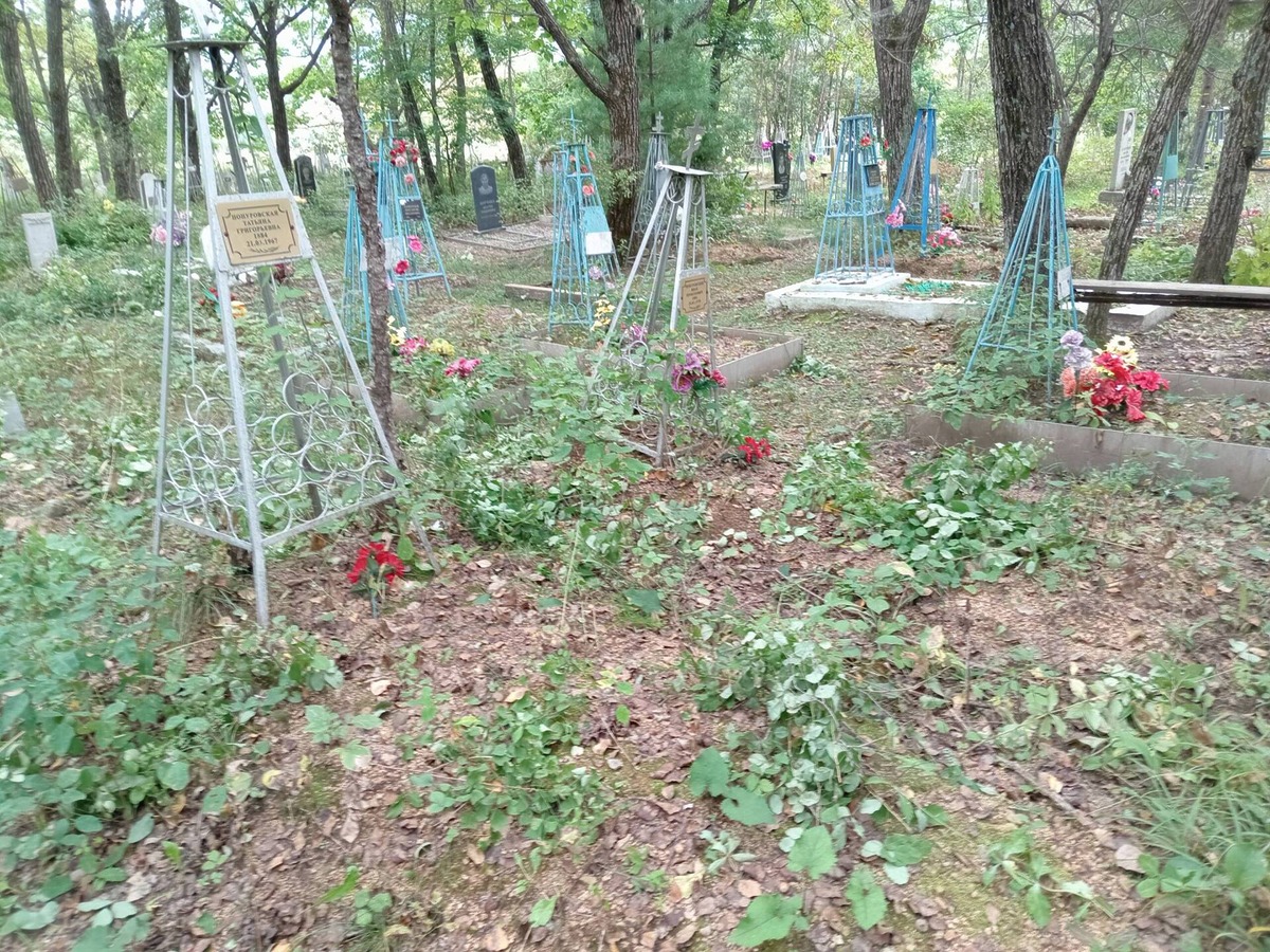 0979c4bf-a5f2-4100-b344-47c88c61befa Понуровский Иван Прокопович