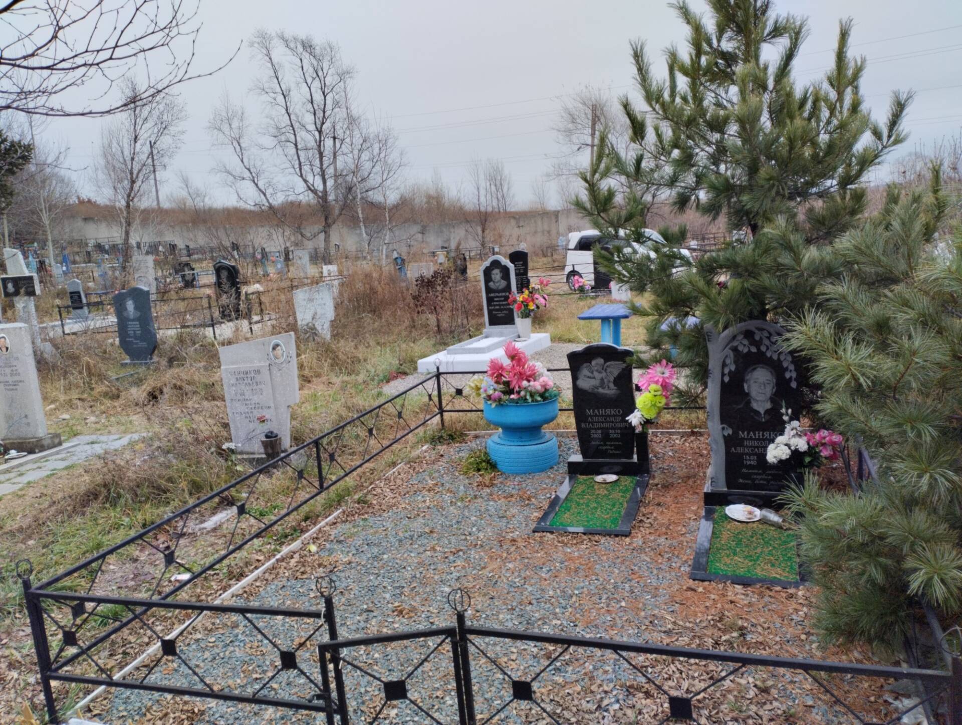 Маняко Александр Владимирович