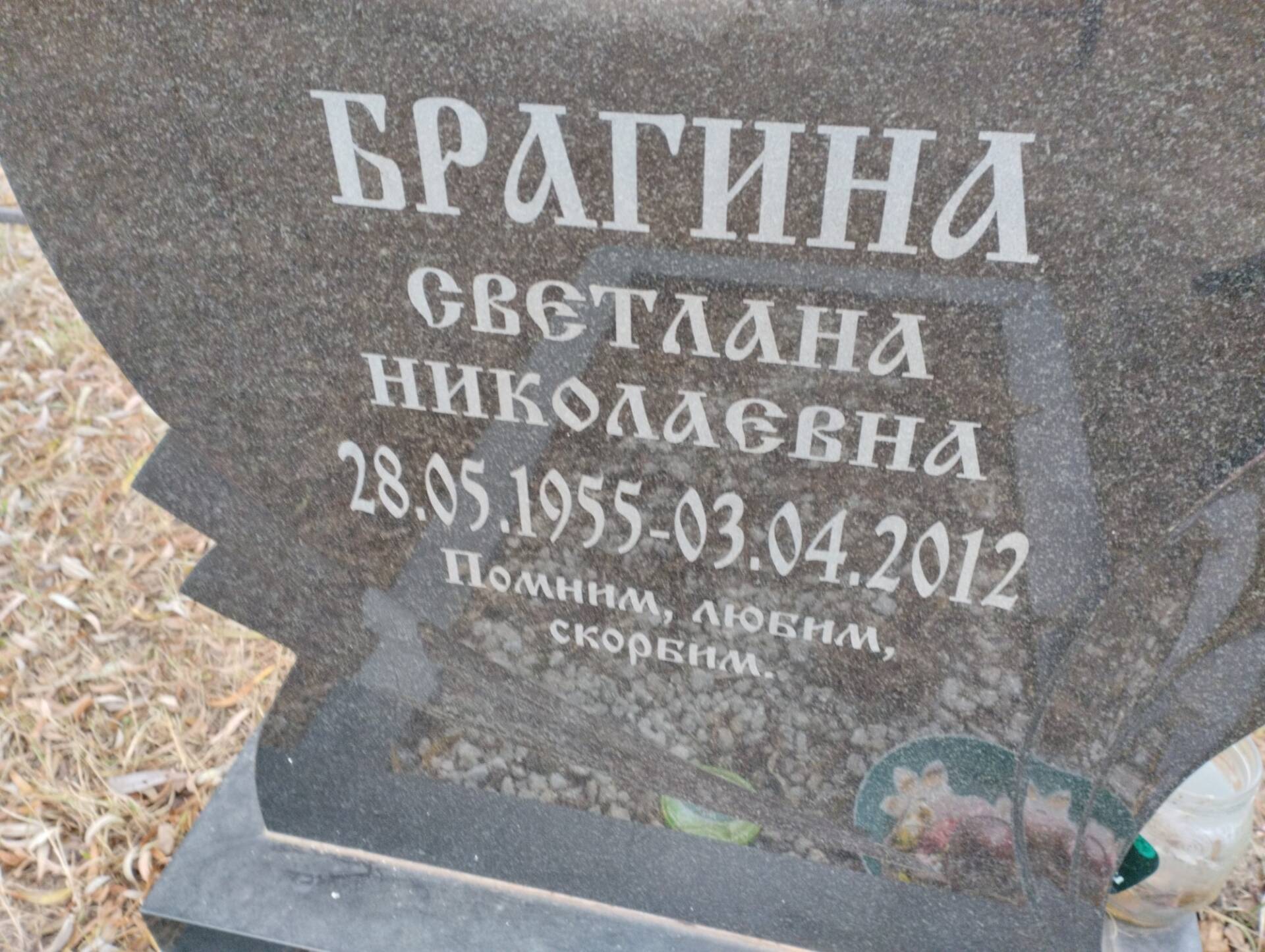 Брагина Светлана Николаевна