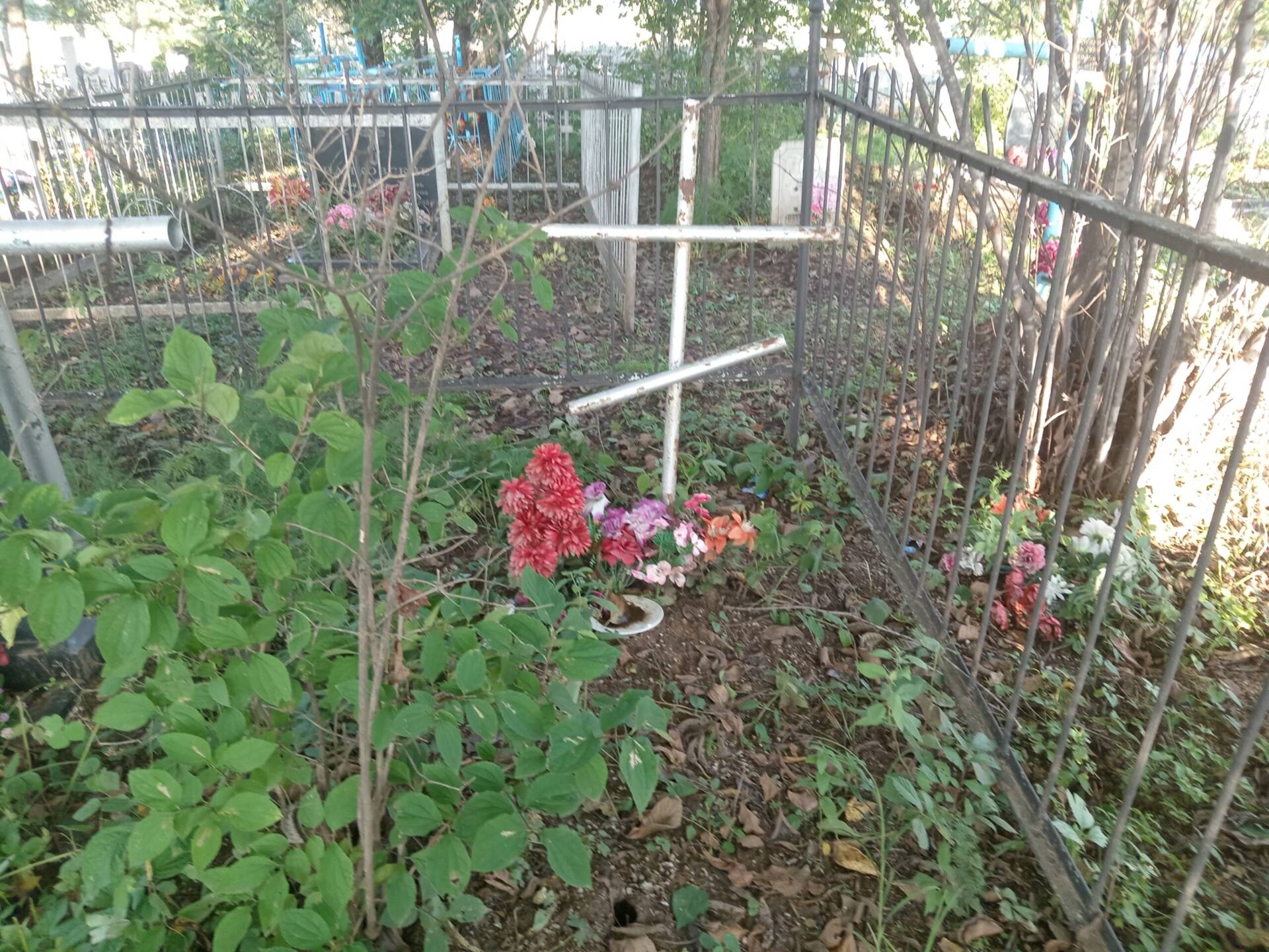 Неизвестно Неизвестно Неизвестно