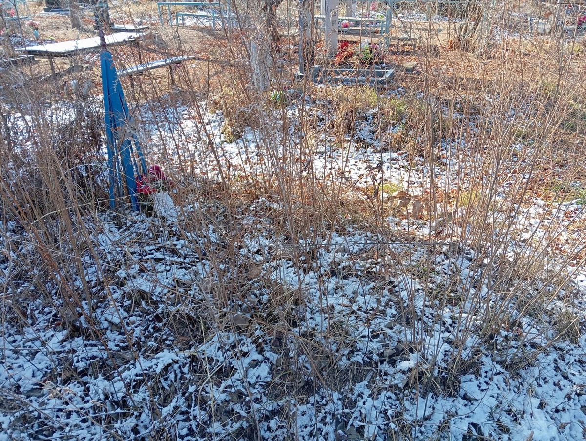 1204767a-68c9-4ab0-8ee9-62b6c2d5e939 Шенгер Светлана Викторовна