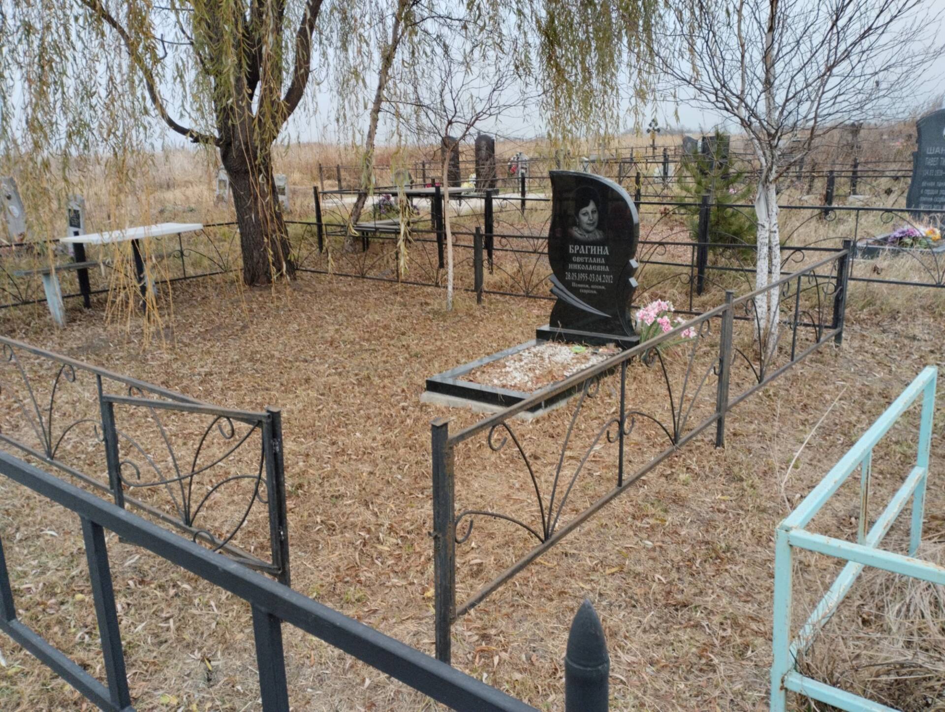 Брагина Светлана Николаевна