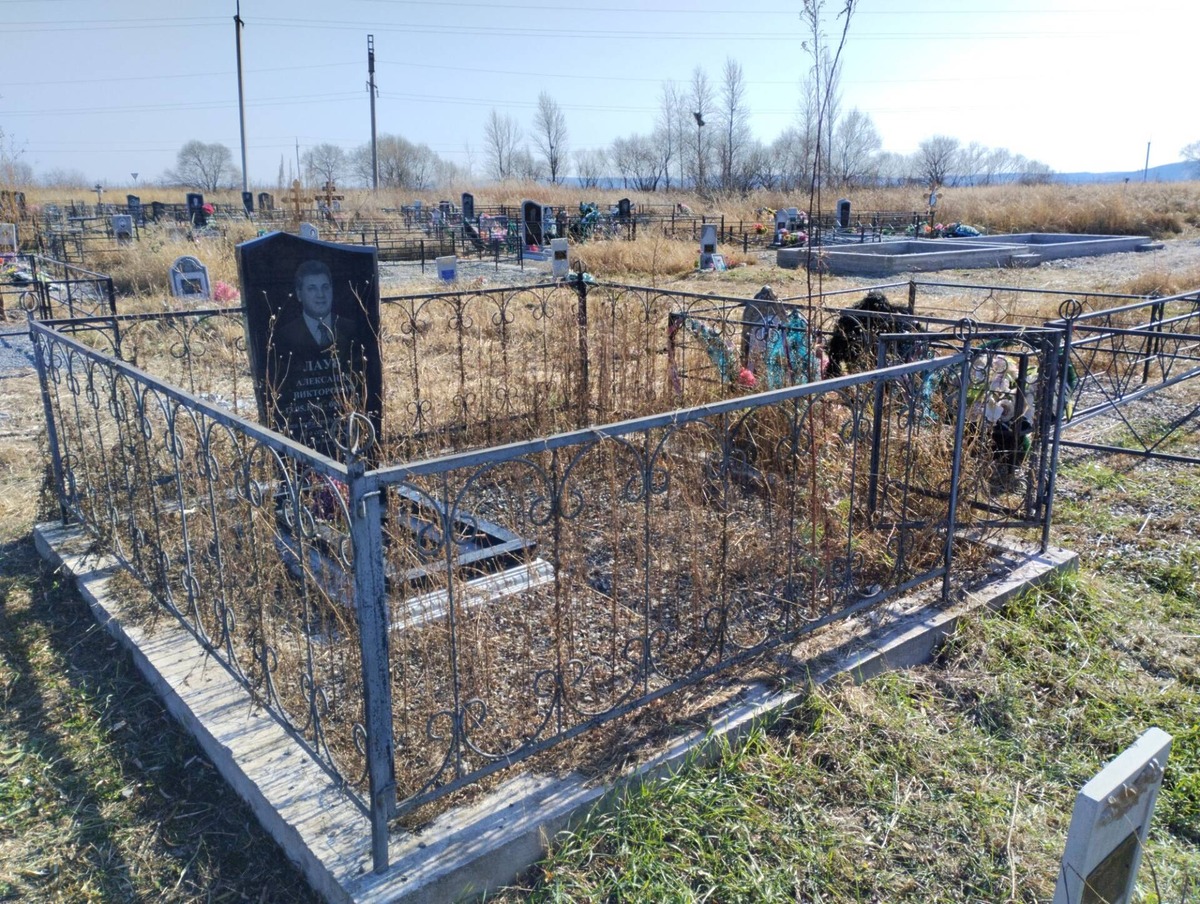 1414912a-285e-4cf2-97db-c7a05d603e3c Лауб Александр Викторович
