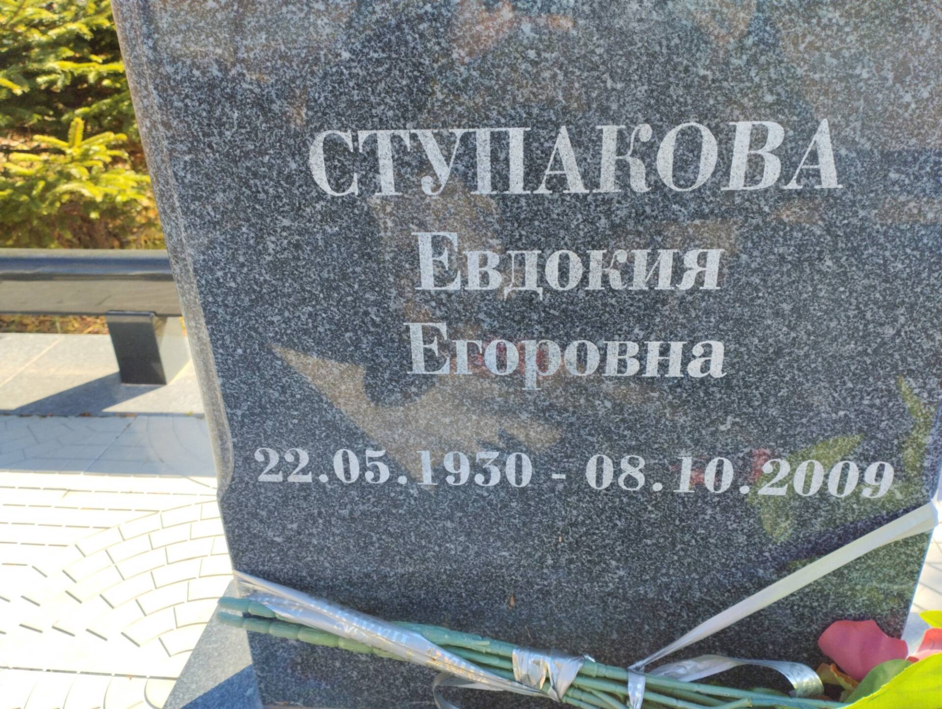 1a6046f5-9352-422c-bd22-659fd9742890 Ступакова Евдокия Егоровна