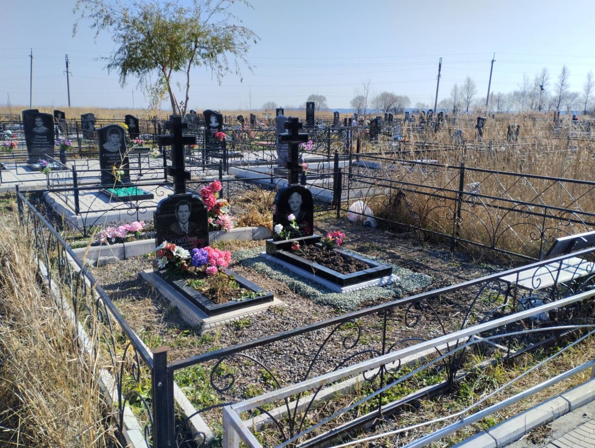 1f2eb586-4fc4-40e3-854a-0578559c191c Соколова Ира Алексеевна