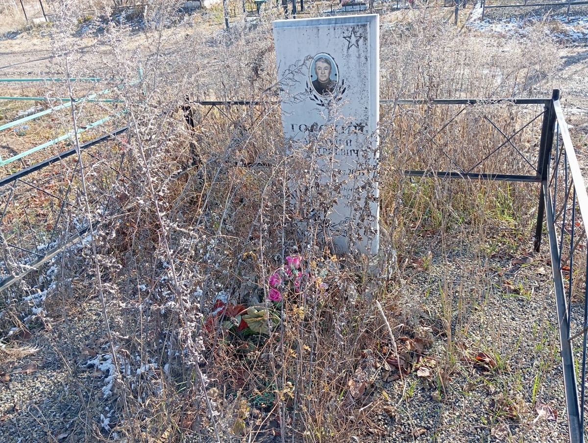 206a6e9b-63c8-434e-b797-a761546d7ce5 Горский Анатолий Дмитриевич