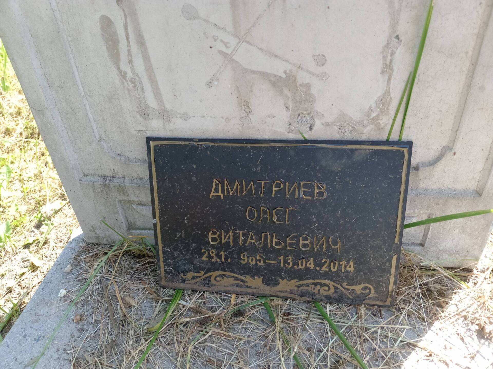 Дмитриев Олег Витальевич