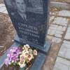 Стрелец Владимир Андреевич