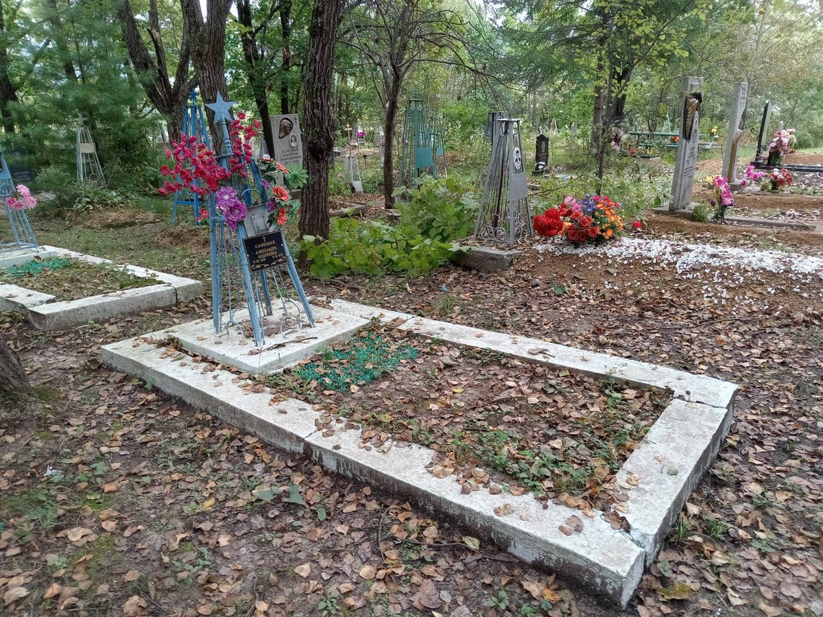 Каменная Александра Андреевна