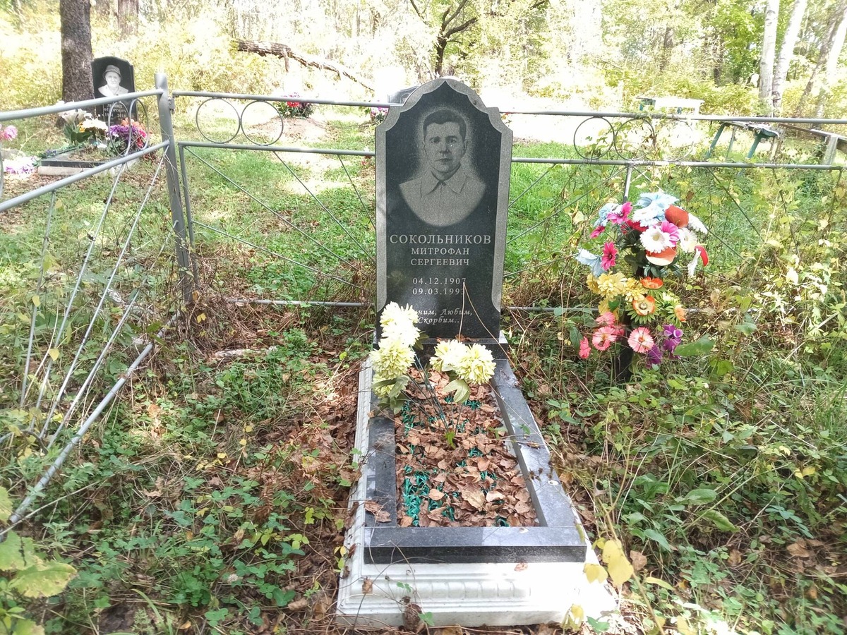 Сокольников Митрофан Сергеевич