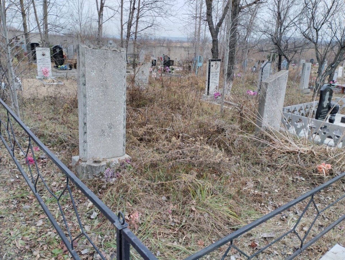 353c1d24-5eea-4f88-a7df-fcf679f83e44 Баранюк Ольга Николаевна