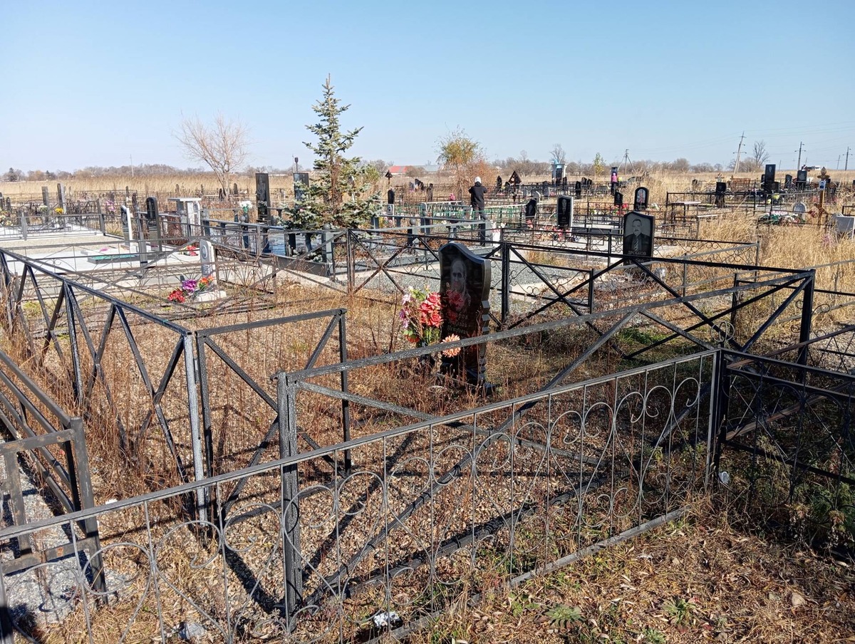 3d7fee20-50f5-40a9-8f30-283c2ad2b5d4 Бояров Николай Петрович