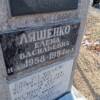 Ляшенко Елена Васильевна