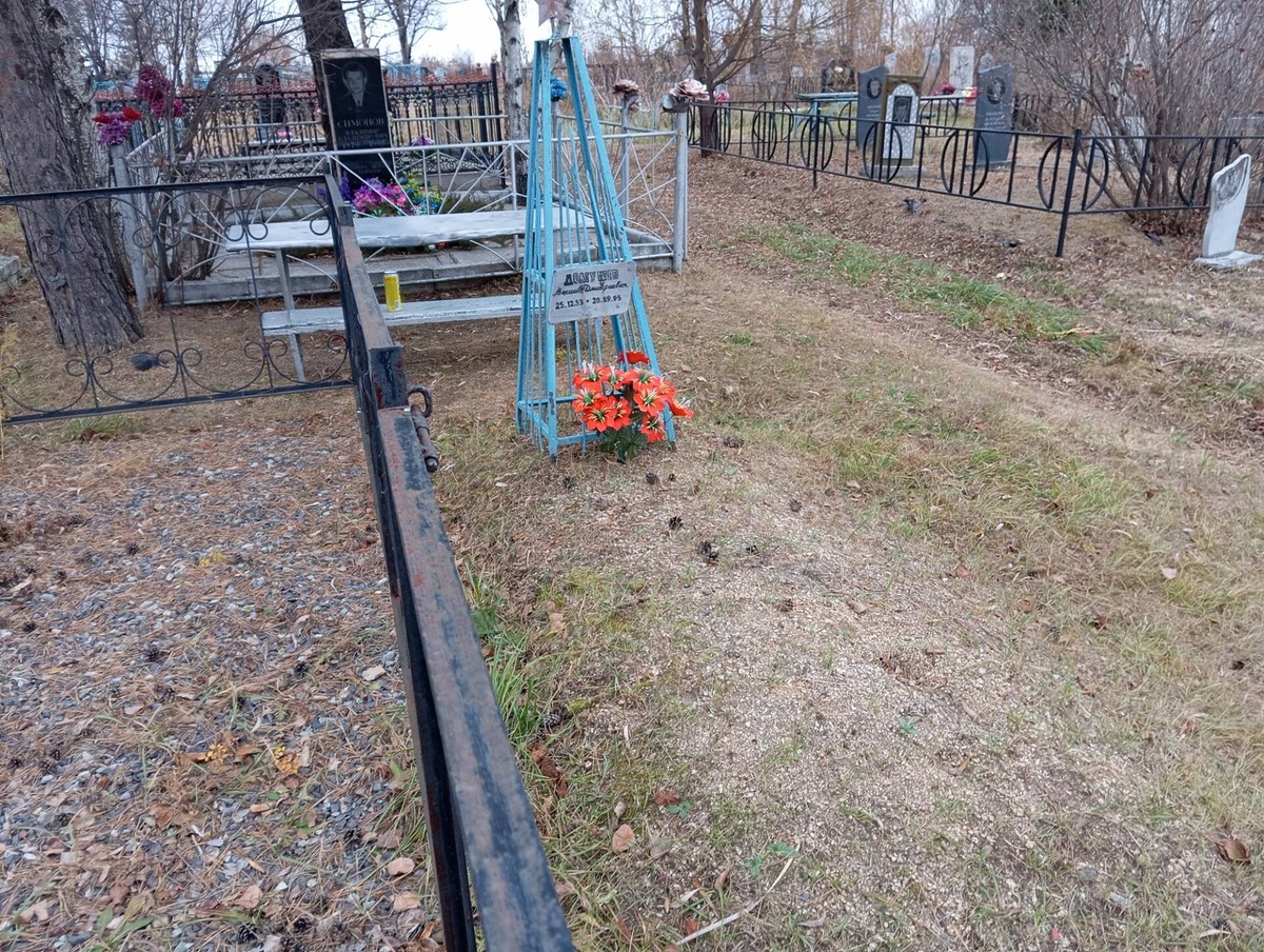 443574b0-5f28-468e-b6a9-1f9132ec8680 Долгушев Василий Дмитриевич