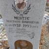 Ментус Анастасия Николаевна
