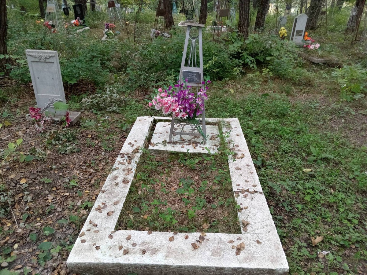 Шепелева Наталья Анатольевна