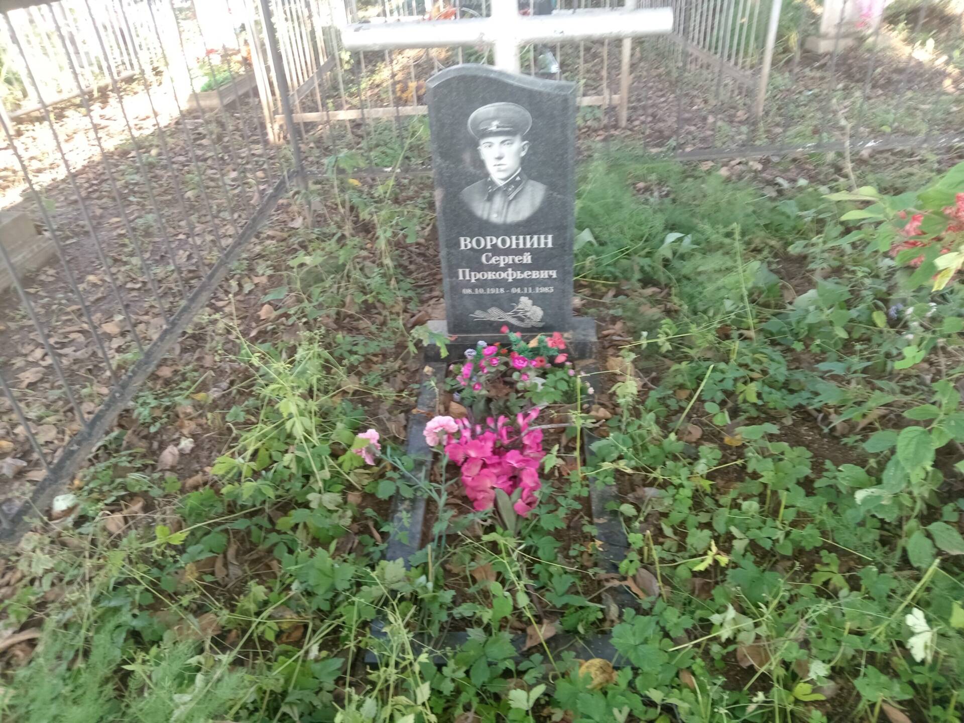 Воронин Сергей Прокофьевич