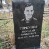 4d207c60-7937-4849-a994-f5cad7d2a84e Горбунов Николай Яковлевич