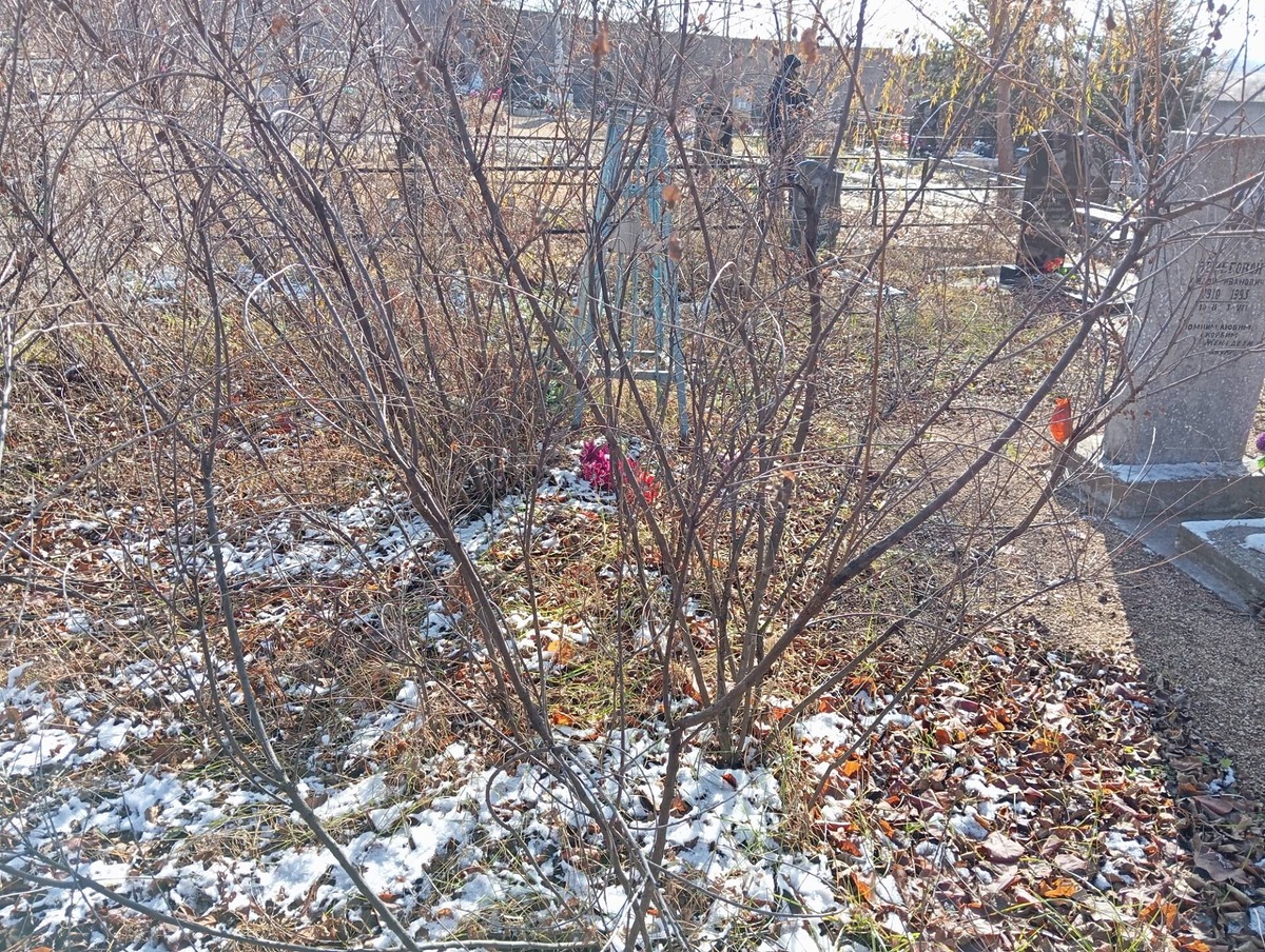4eb78e8b-54d3-416e-b9bc-e4f2a2217739 Власов Юрий Семенович