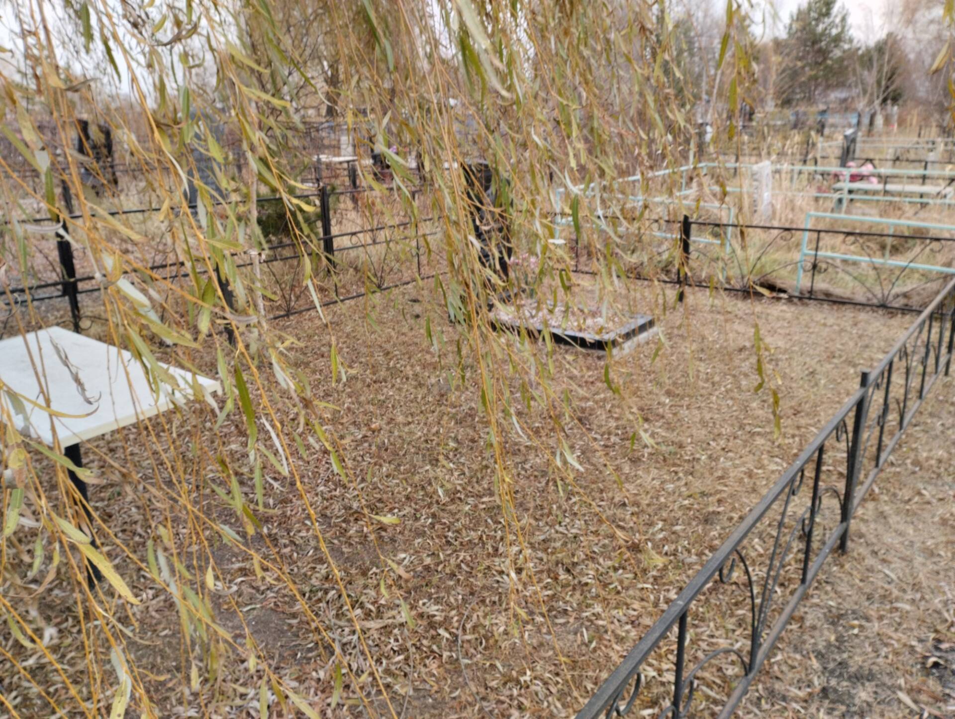 Брагина Светлана Николаевна