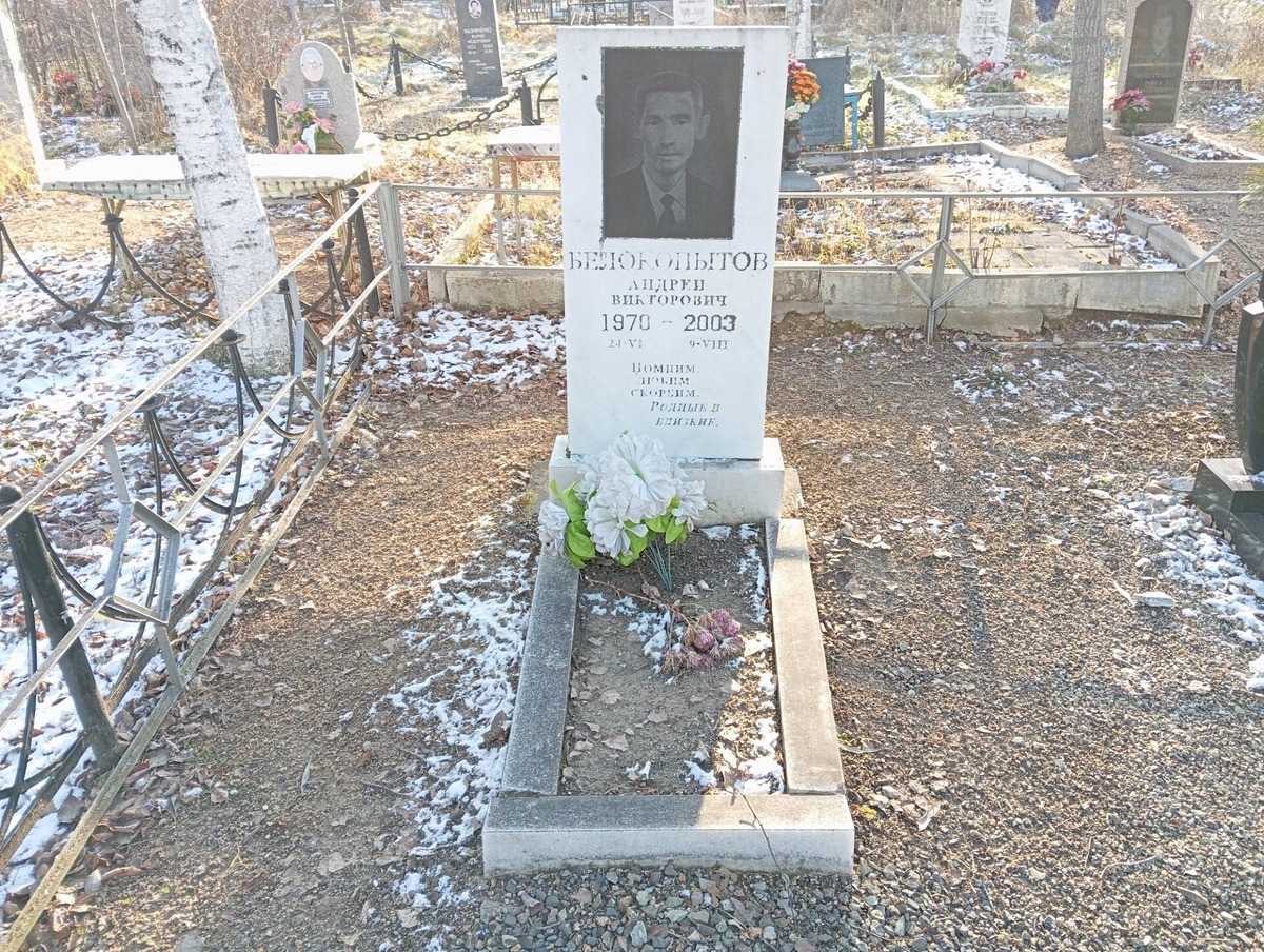 5228434e-60c7-4eed-a0b0-2b6d98f15342 Белокопытов Андрей Викторович