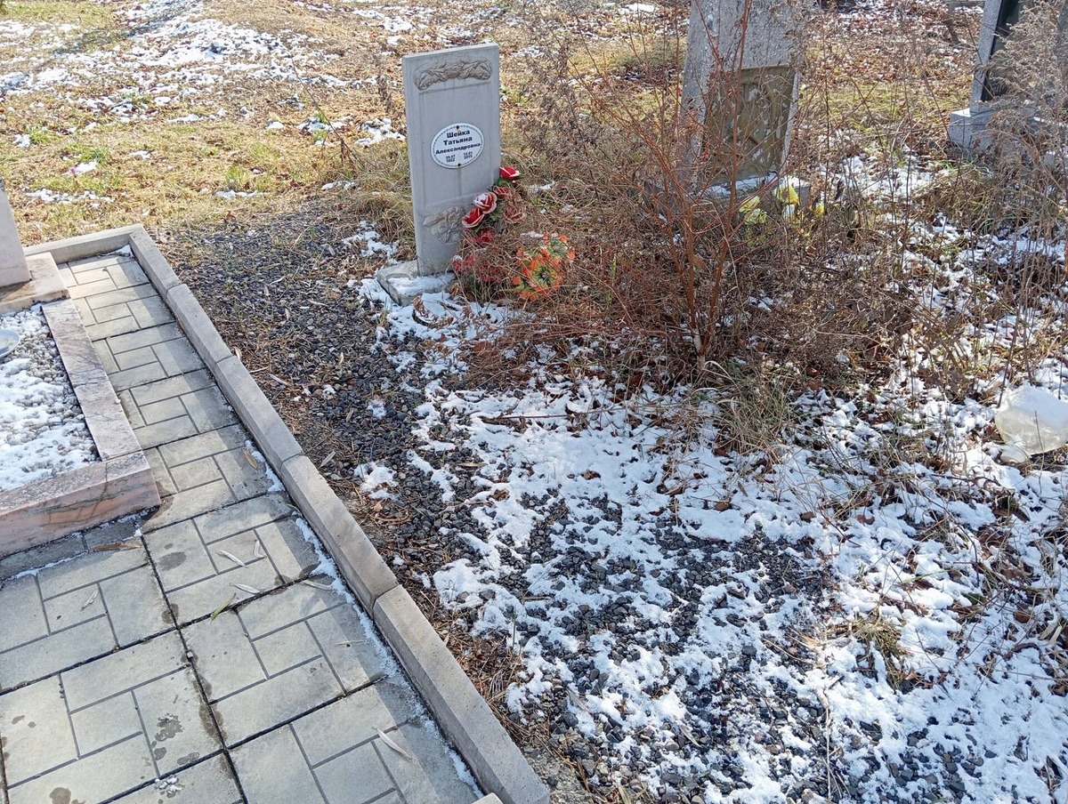 Шейка Татьяна Александровна