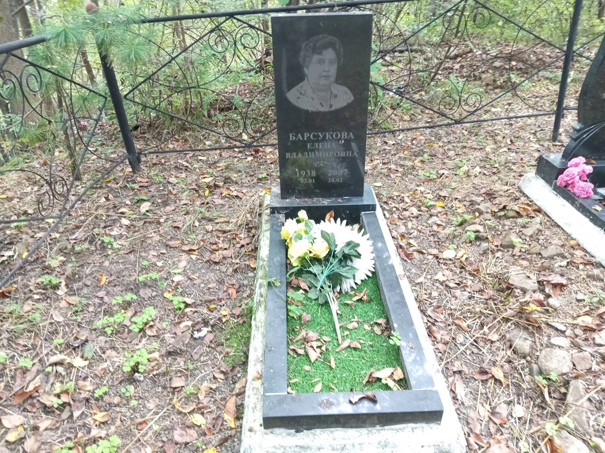 Барсукова Елена Владимировна
