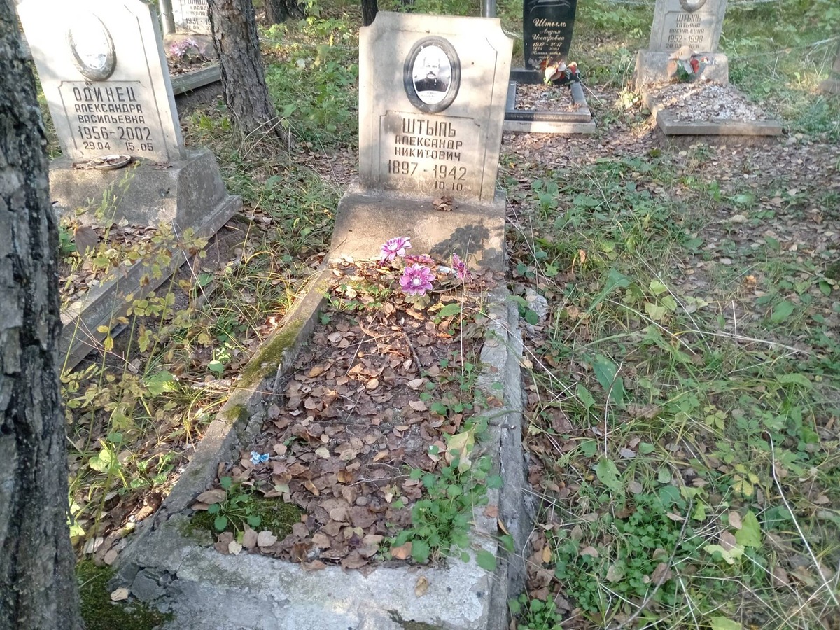 Штыль Александр Никитович