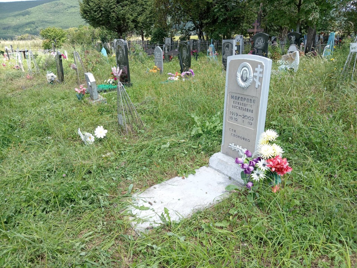 5ff144b5-9898-4113-84ad-3569184695f7 Макарова Елизавета Васильевна