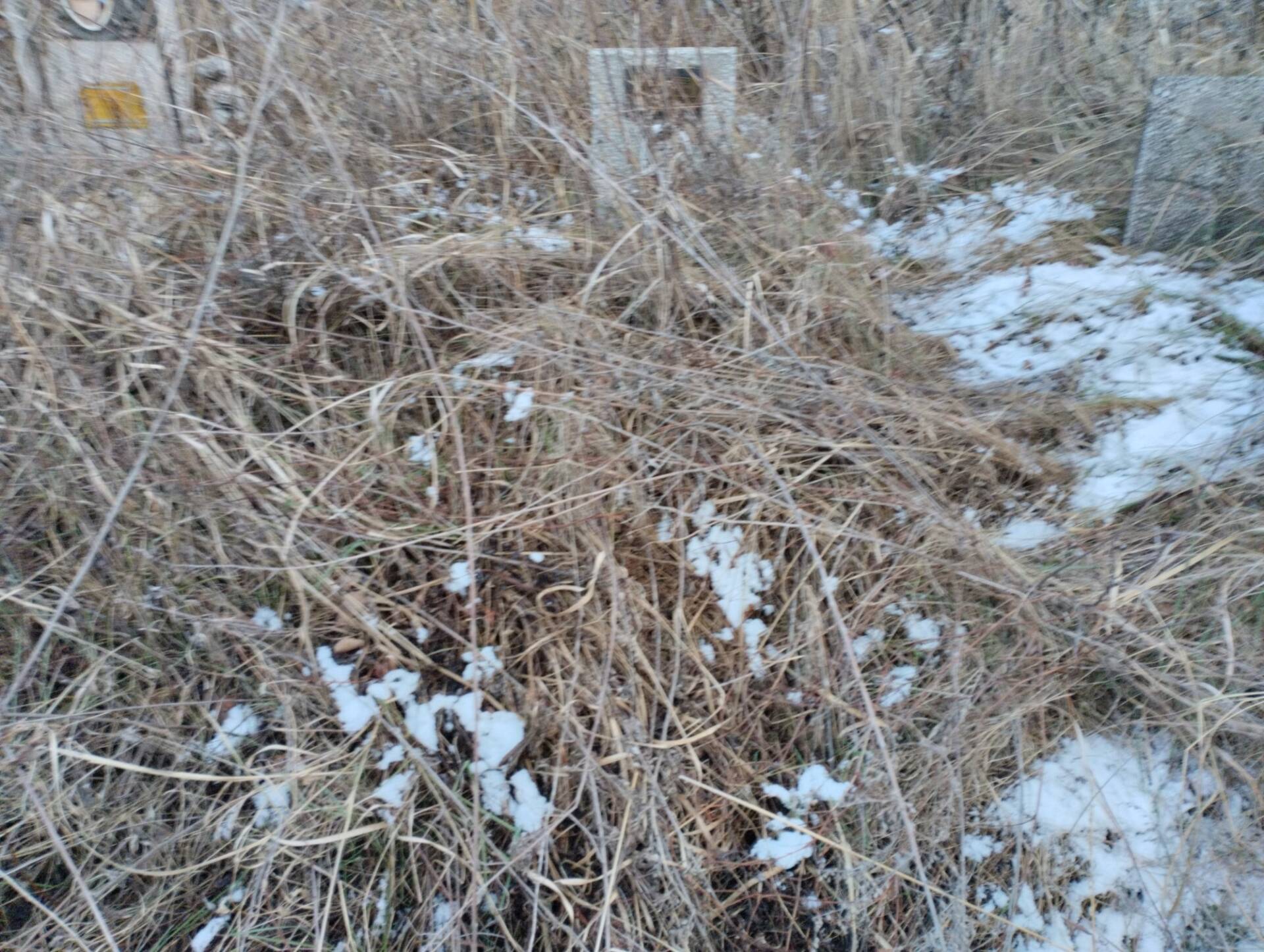 Федореев Николай Филиппович