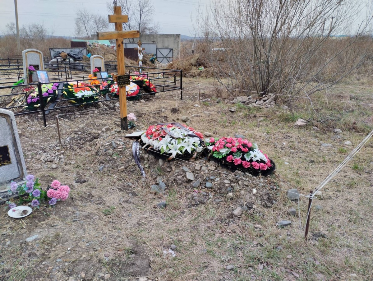 6493e72b-724b-4220-8227-7a9f9919b6e0 Гармонов Анатолий Анатольевич