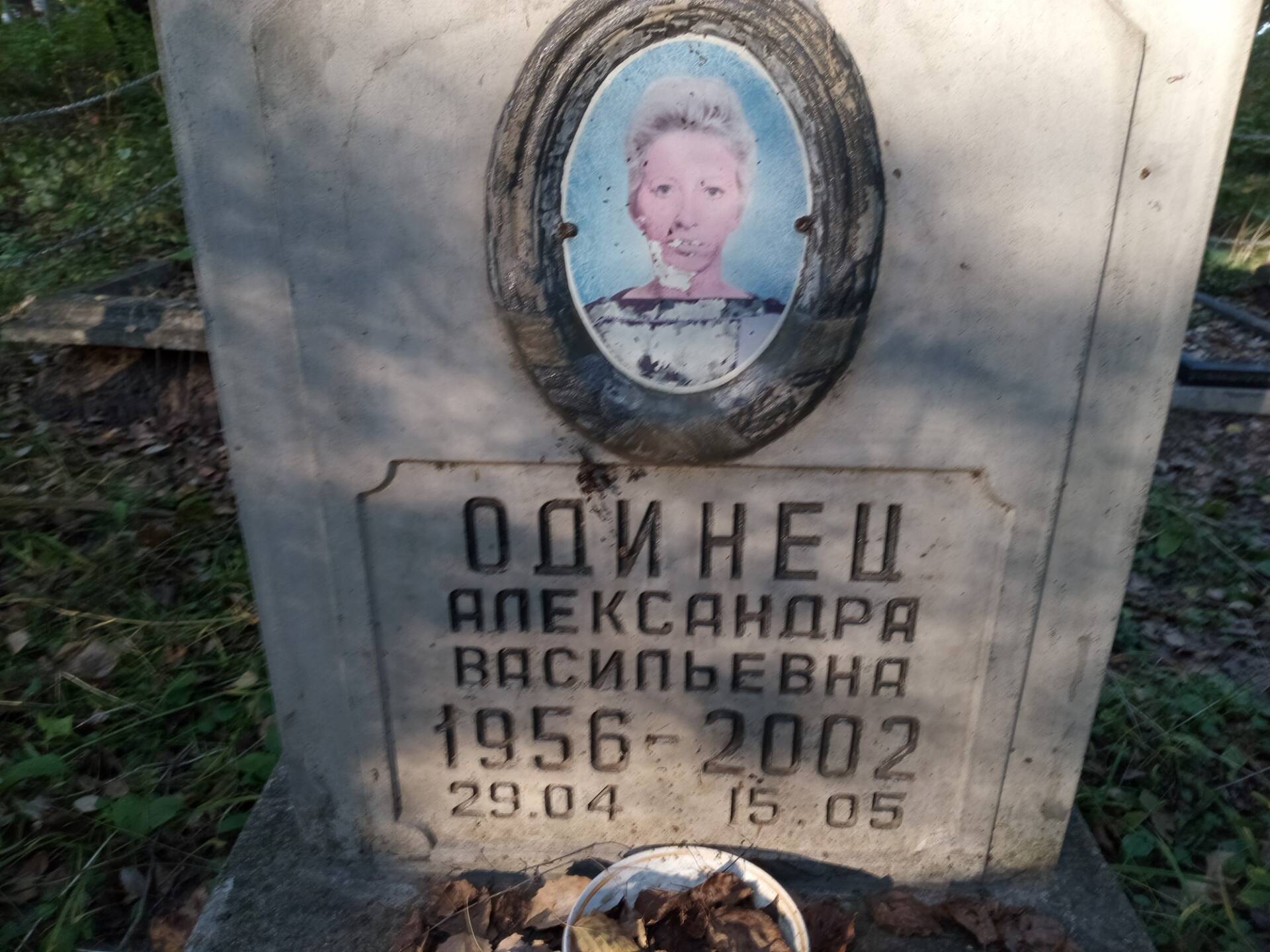 Одинец Александра Васильевна