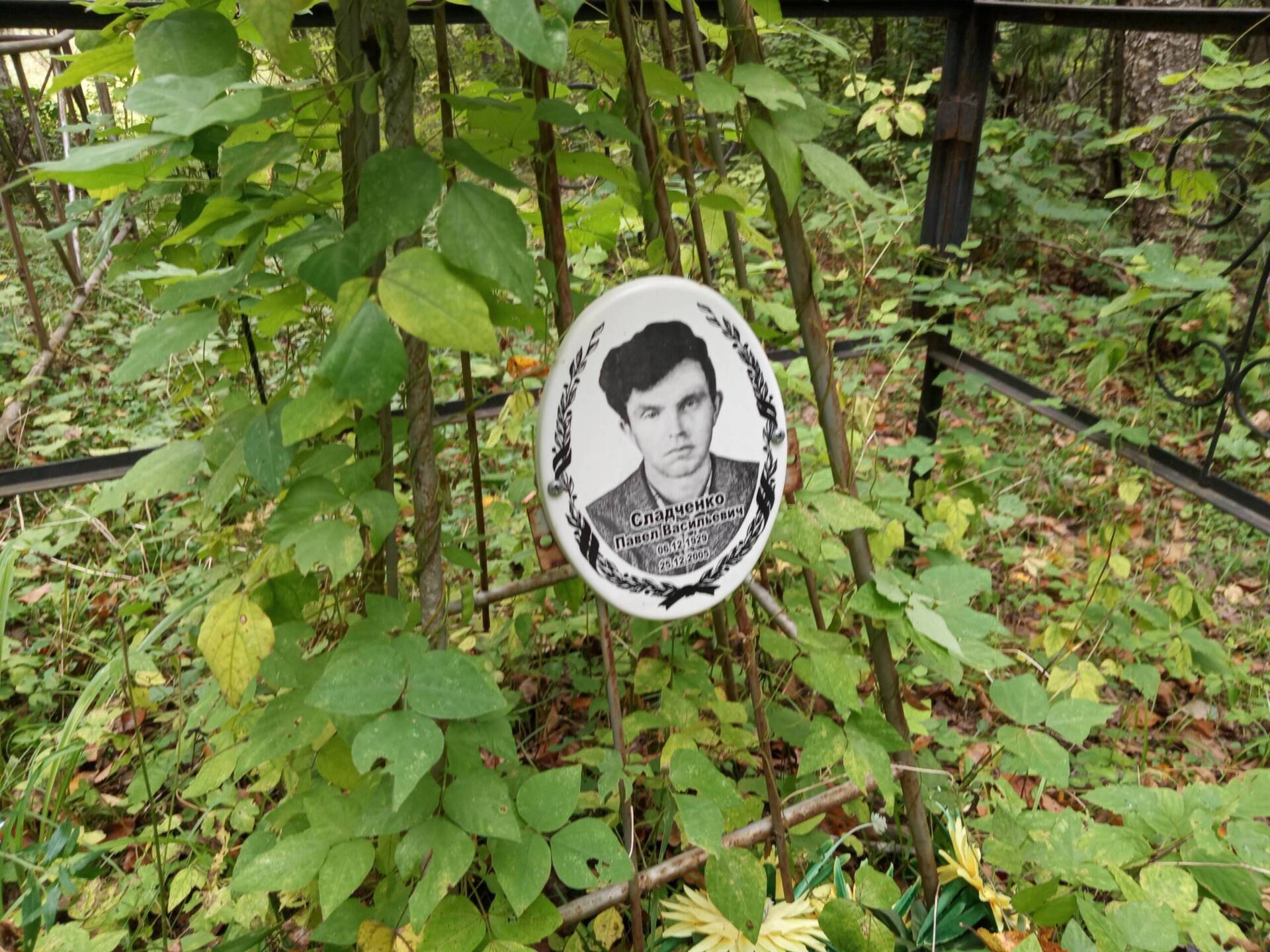 Сладченко Павел Васильевич