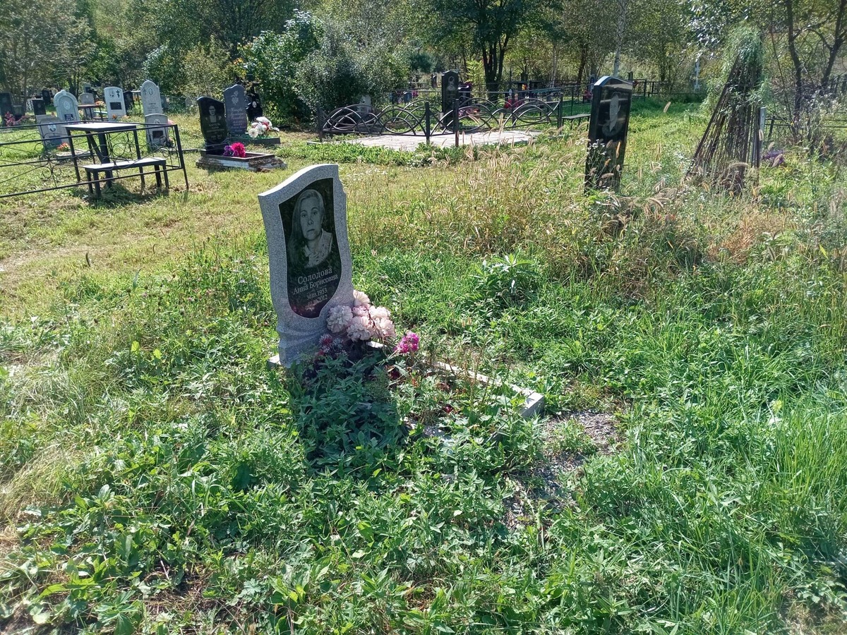 8a26a7a8-4e1c-4619-8e25-b87b0ace3f44 Солодова Анна Борисовна