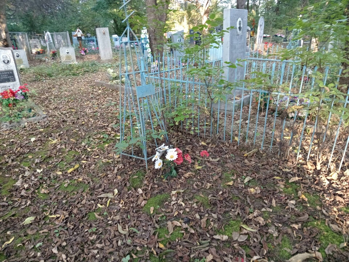 9a697fa3-d0ae-415d-aa4f-1dc26f8f68ea Неизвестно Неизвестно Неизвестно