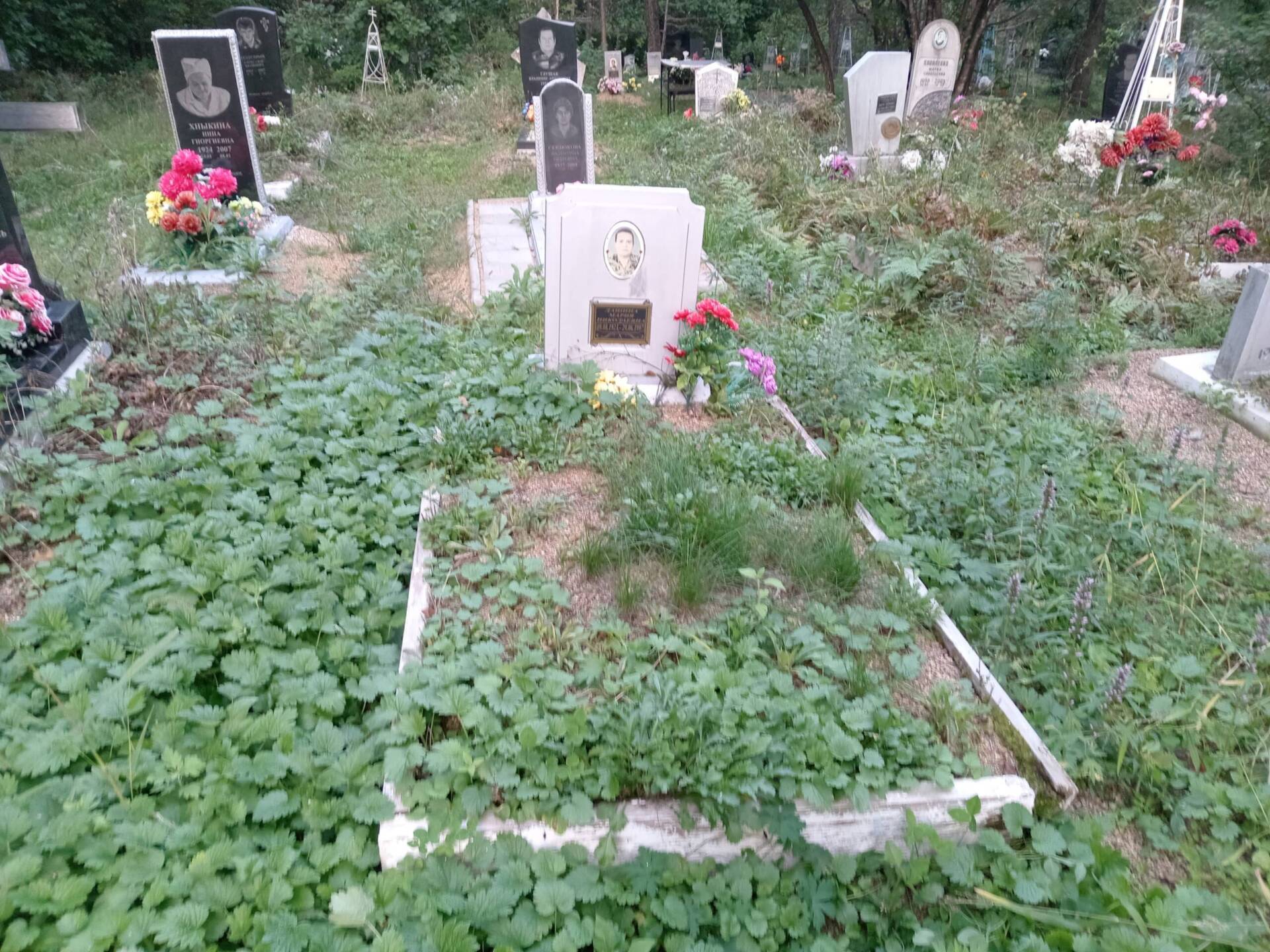Лашина Мария Николаевна