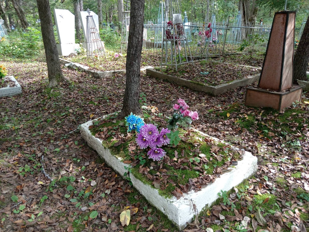 a0accf27-798f-474c-83ed-ea4dfe197e13 Неизвестно Неизвестно Неизвестно