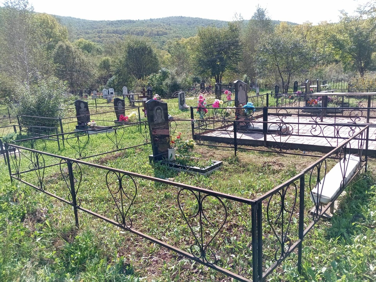 a30f4aa8-e178-472e-9600-88c42f6d9f0e Колесников Владимир Александрович