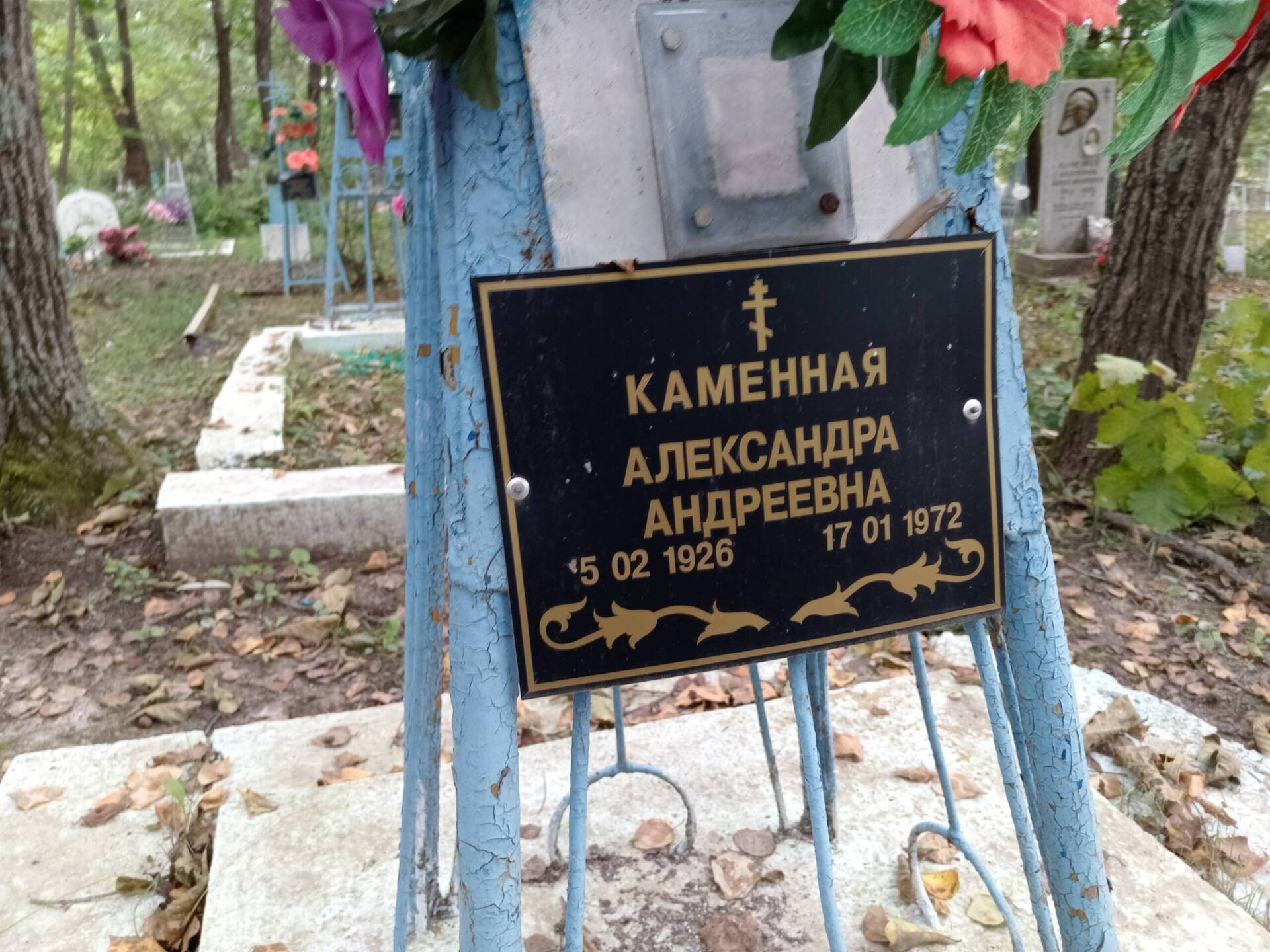 Каменная Александра Андреевна
