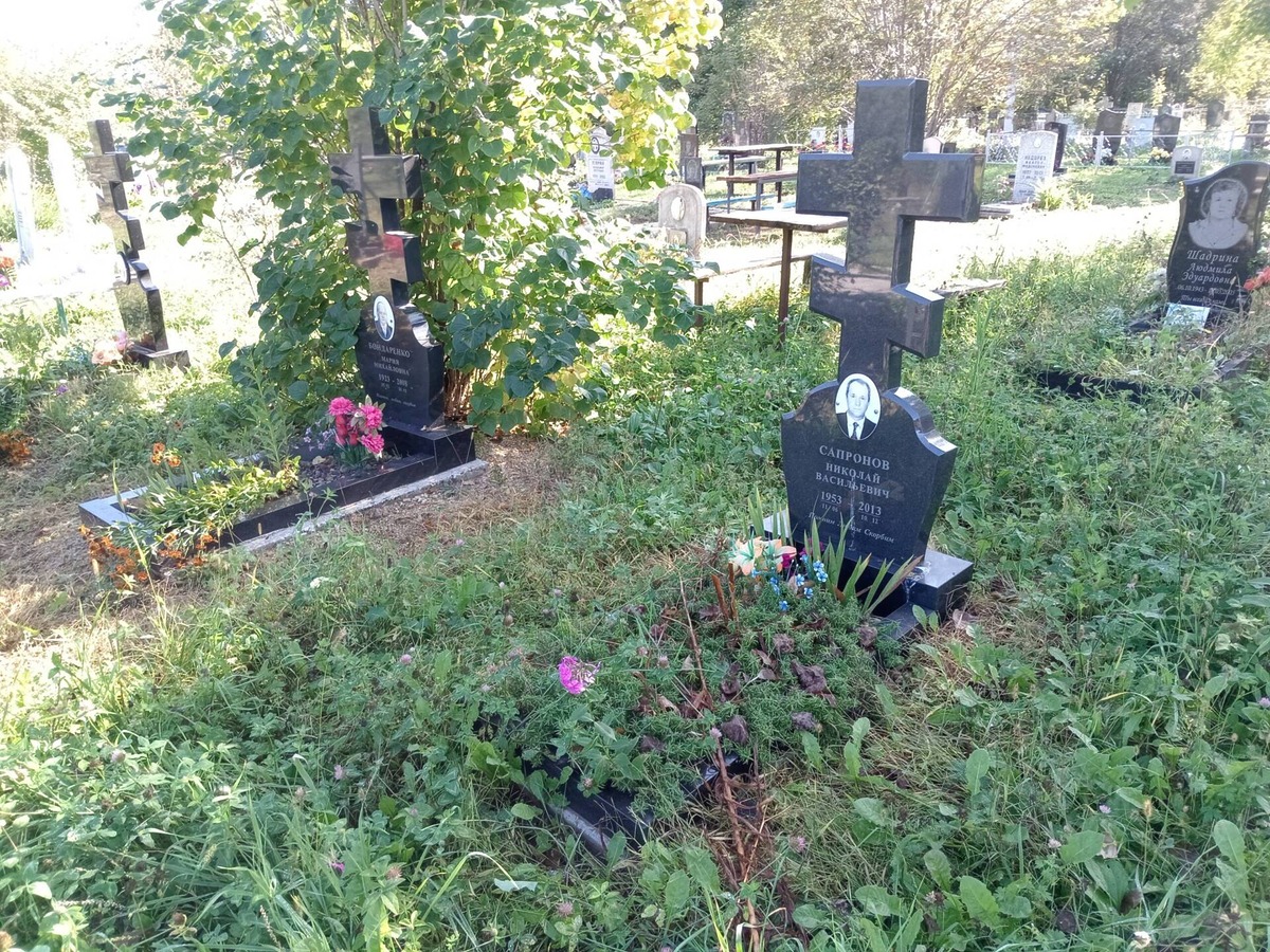 Сапронов Николай Васильевич