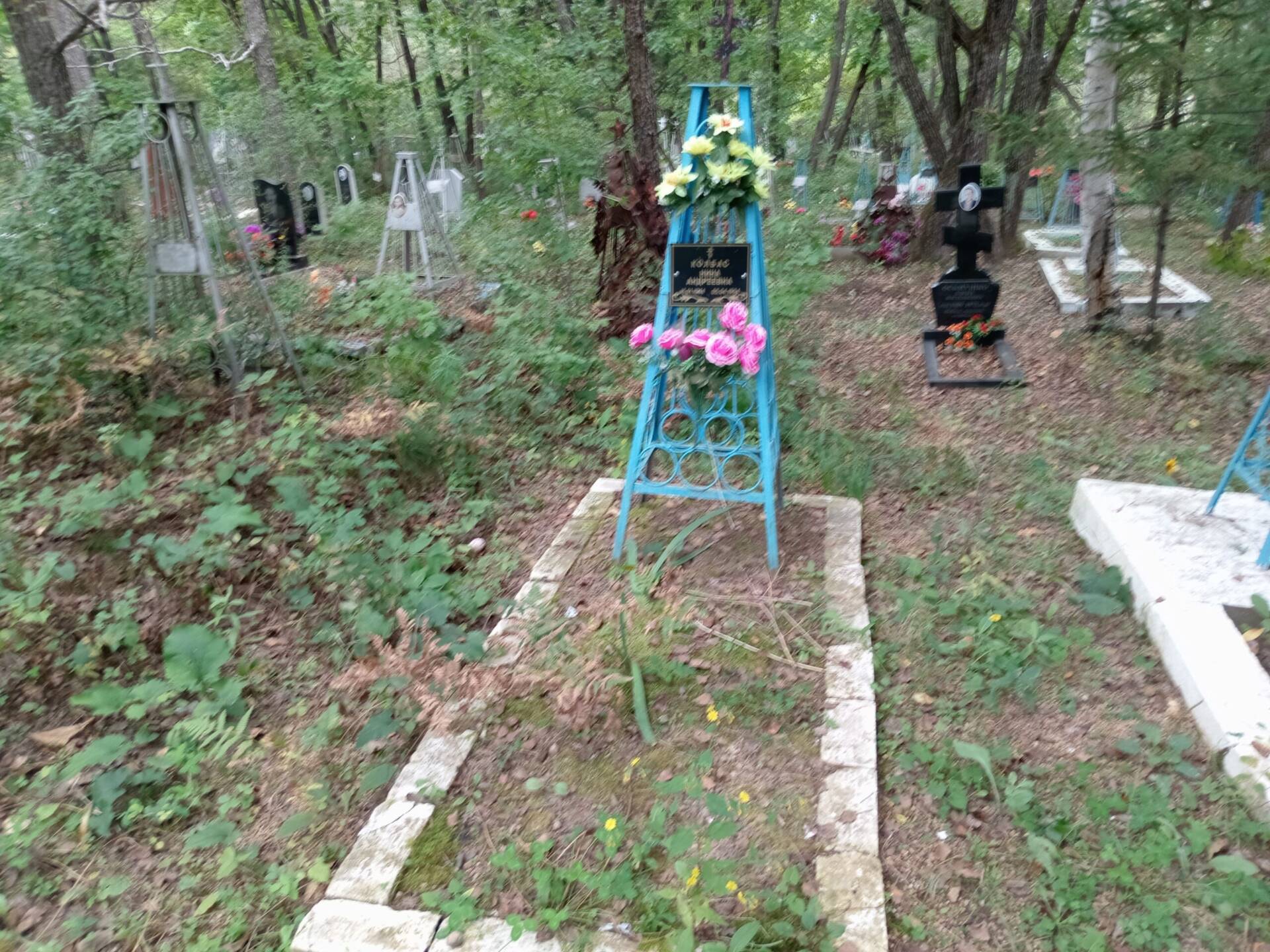 b23f8a41-5327-4900-a3f5-6f0e474fe345 Колбас Нина Андреевна