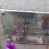 Шепелева Наталья Анатольевна