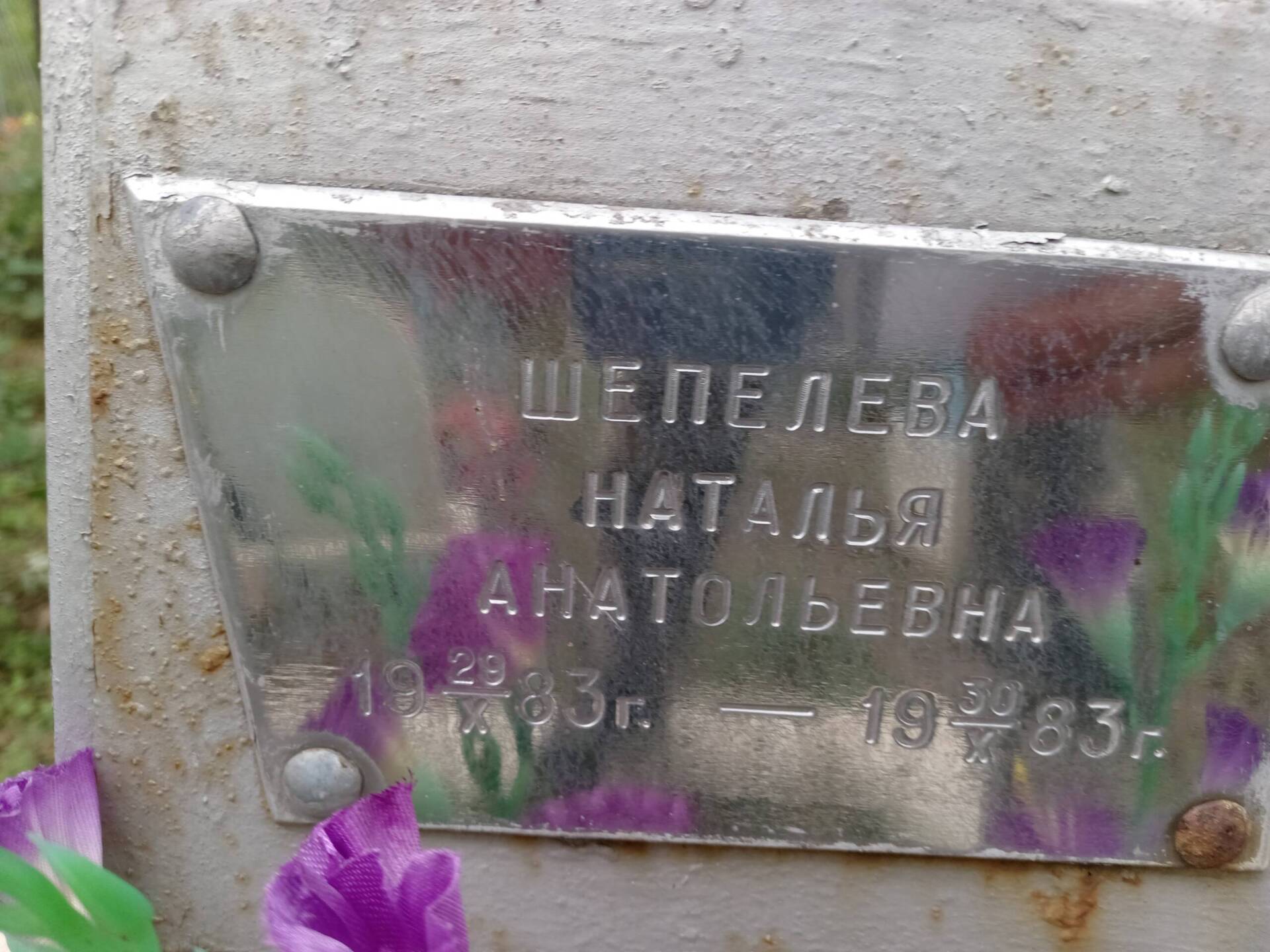 Шепелева Наталья Анатольевна