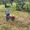 Дмитриев Олег Витальевич
